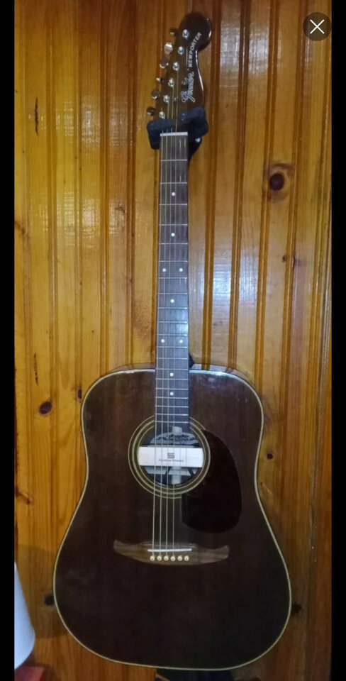 Fender newporter