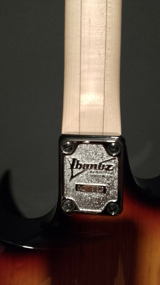 Ibanez PGM 401 TFB Made In Japan