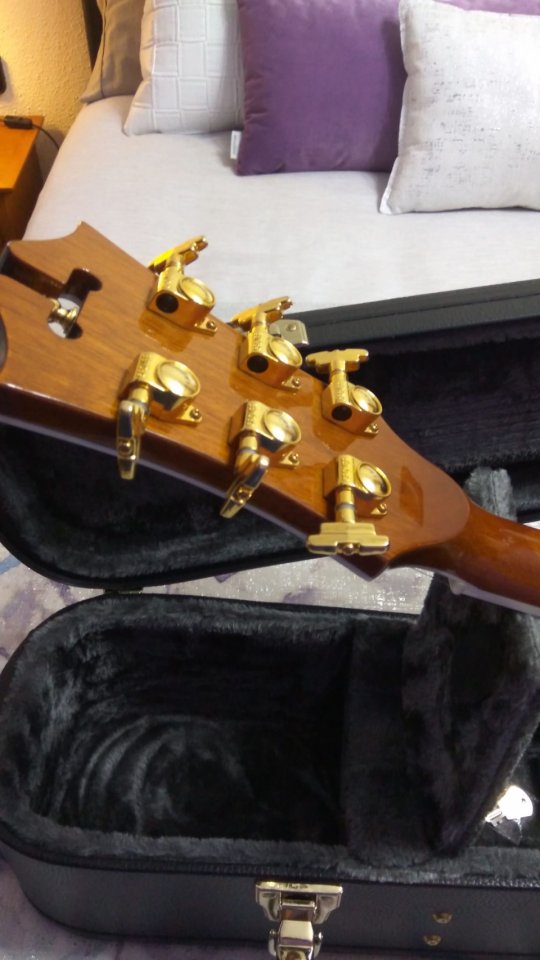 D’Angelico Bowery tope de gama