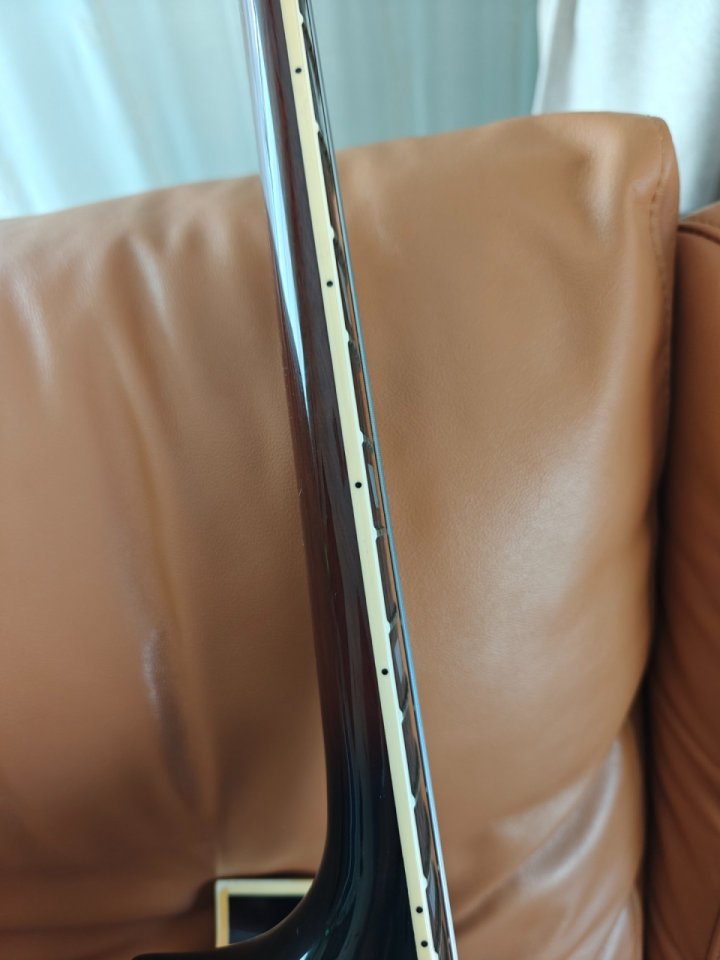 Aria Pro 2 model EA-650 SB