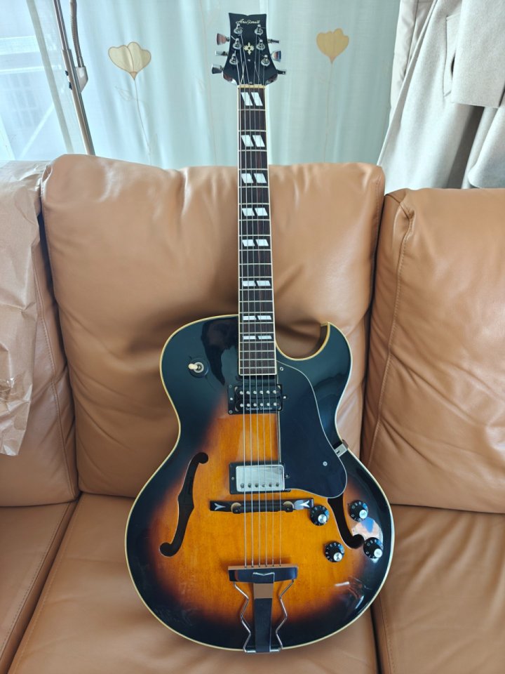 Aria Pro 2 model EA-650 SB