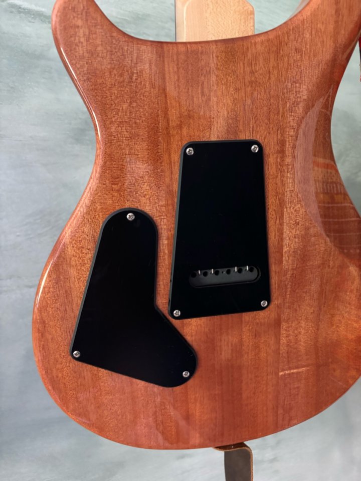PRS se Custom 24 08 de segunda mano · Foto 6 de 7 · Valencia · 700 €