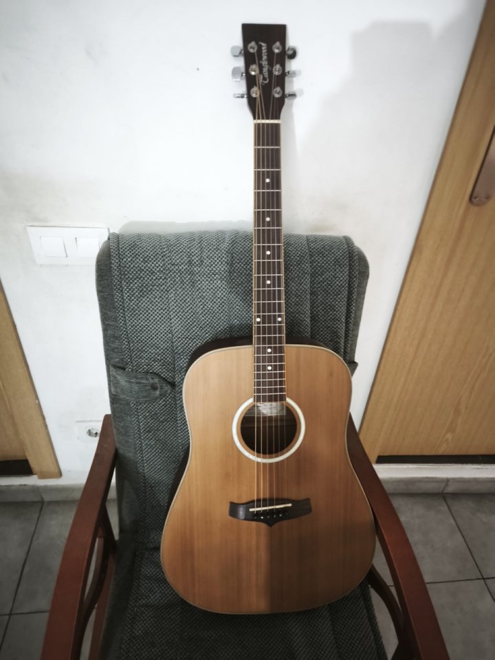 Tanglewood tw28cln