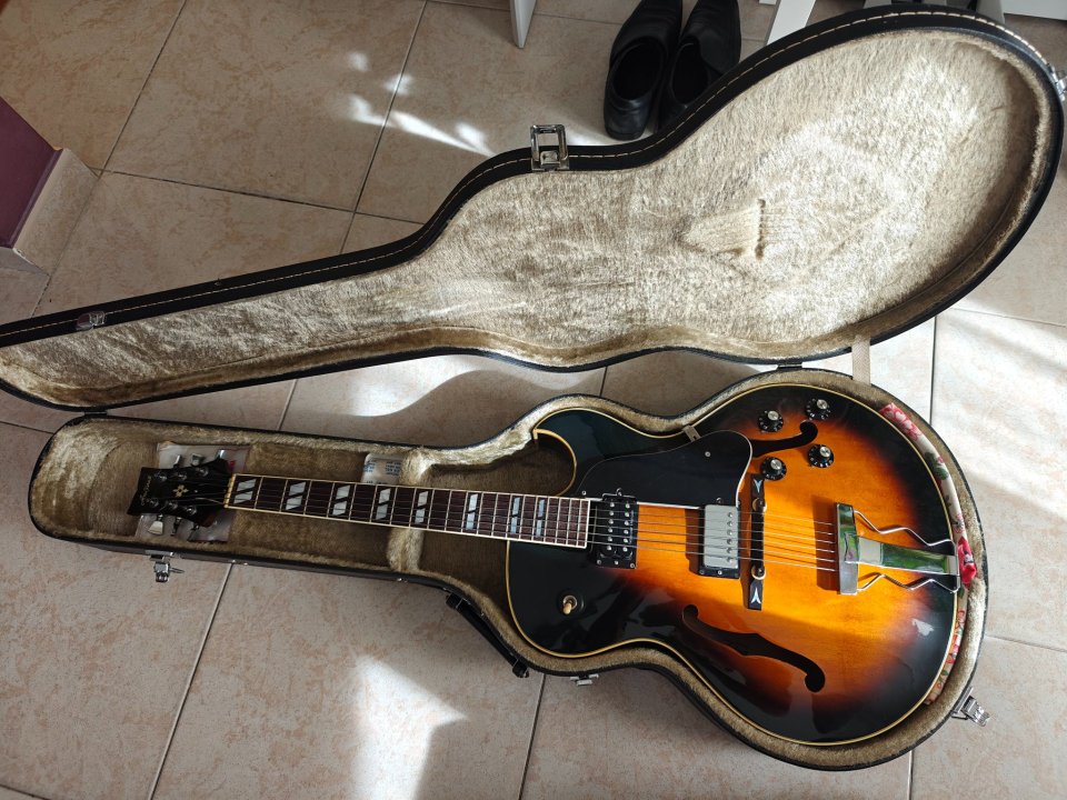 Aria Pro 2 model EA-650 SB