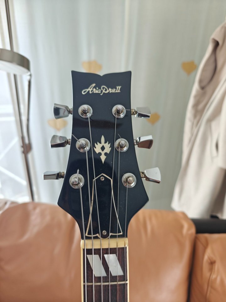 Aria Pro 2 model EA-650 SB