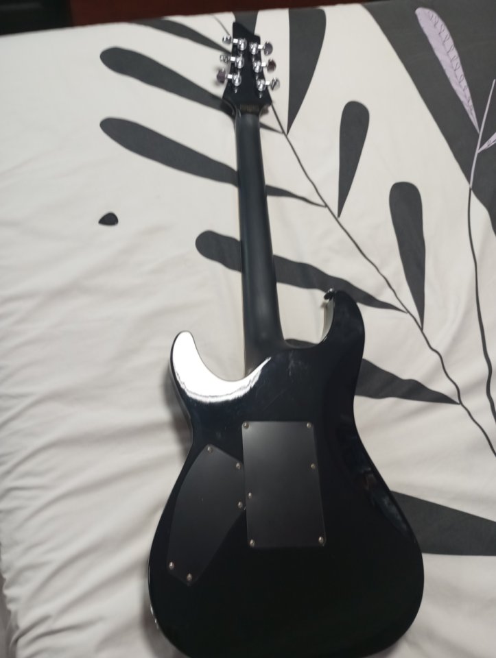 Schecter C1 standard fr de segunda mano · Foto 2 de 8 · Bizkaia · 499 €