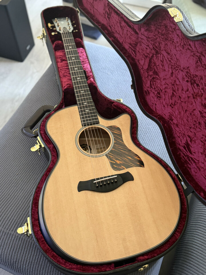 Taylor Builder’s Edition 314ce LTD 50th Anniversary Collection