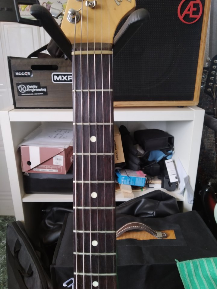 Fender Stratocaster ST-43 Japón