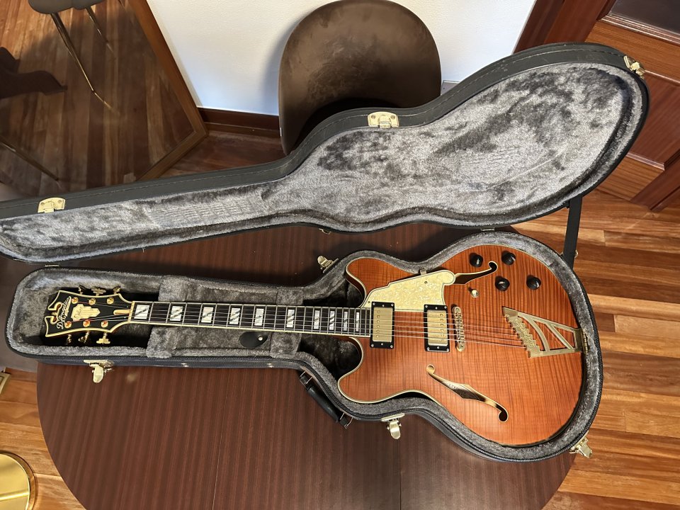 D'Angelico Deluxe DC, edición limitada numero 12 de 50. de segunda mano · Foto 9 de 10 · Bizkaia · 1800 €