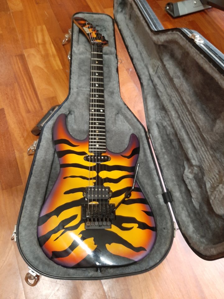 ESP sunburst tiger (George Lynch) de segunda mano · Foto 10 de 11 · Gipuzkoa · 3500 €