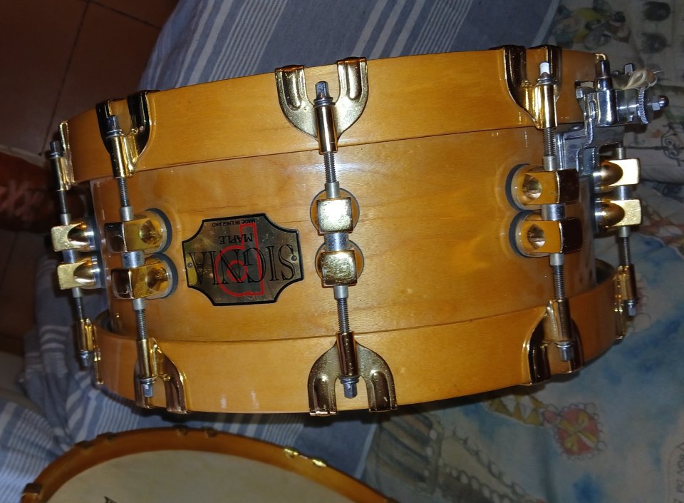 Venc una de les dues Premier Signia amb rutlles de fusta que tinc.