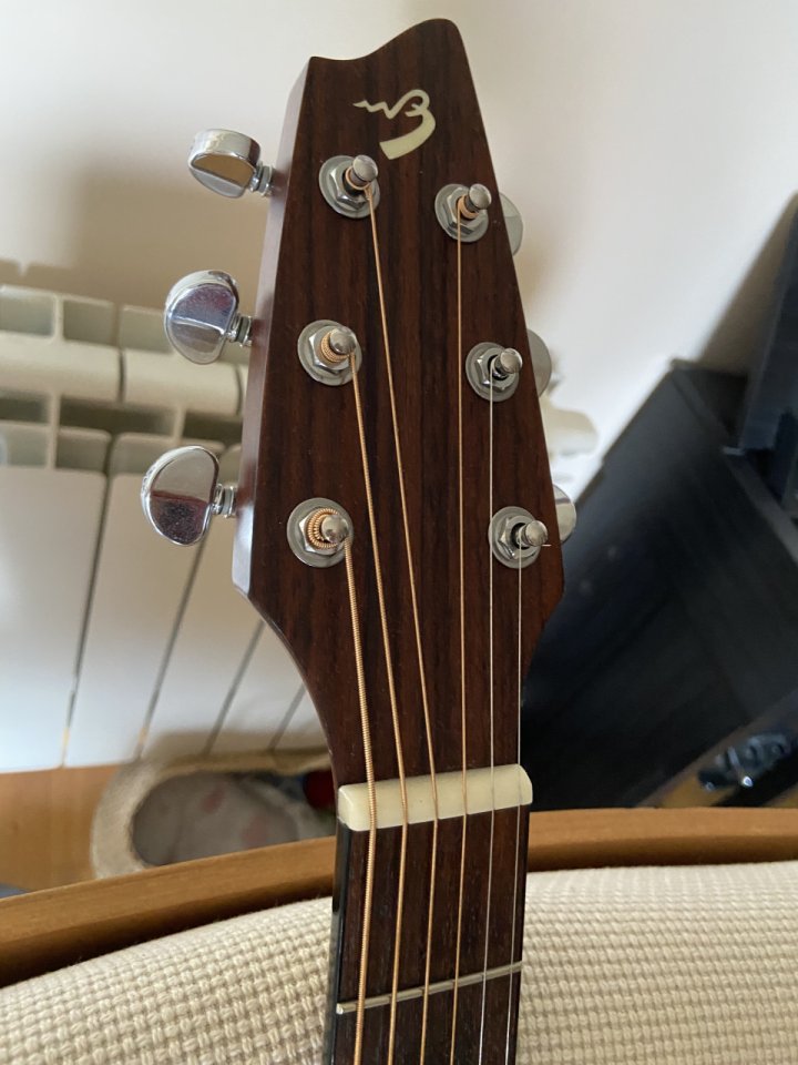 Cambio acústica por flamenca o nylon