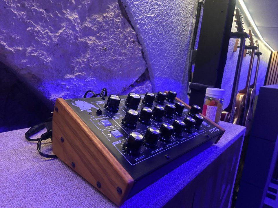 Moog Minitaur + Wood Sides