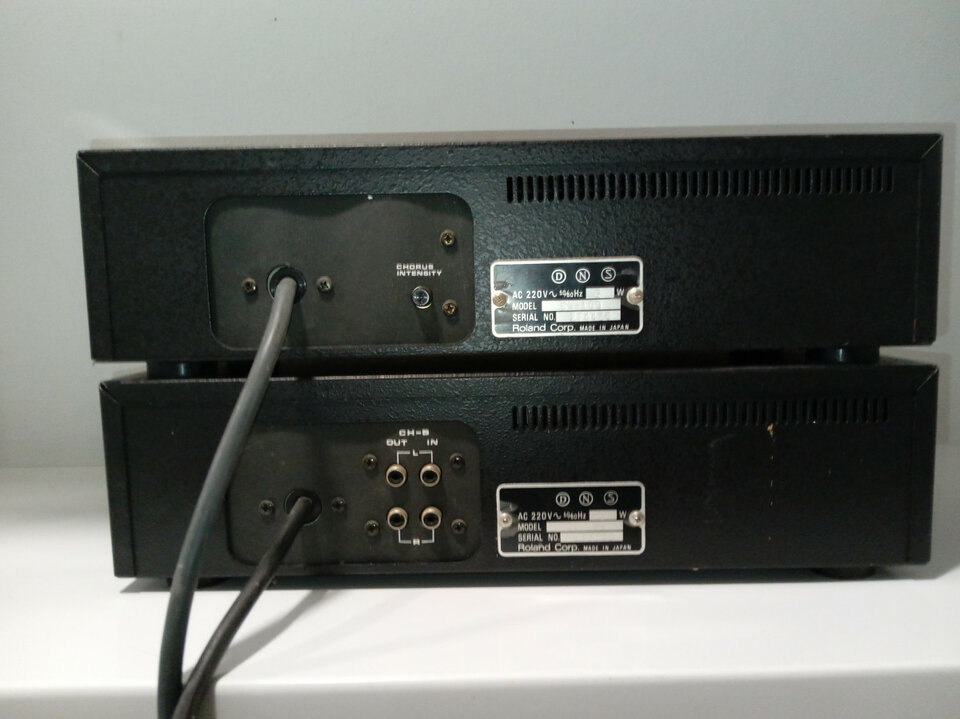 Boss Dm-100 +Boss Rx-100