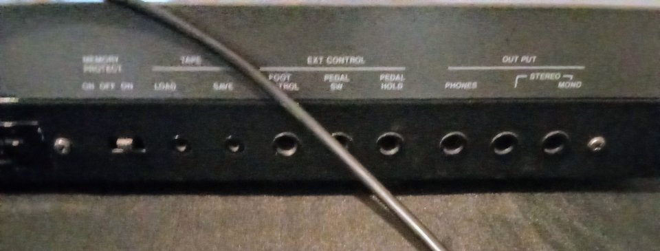 Roland Alpha Juno 1 + DT 300