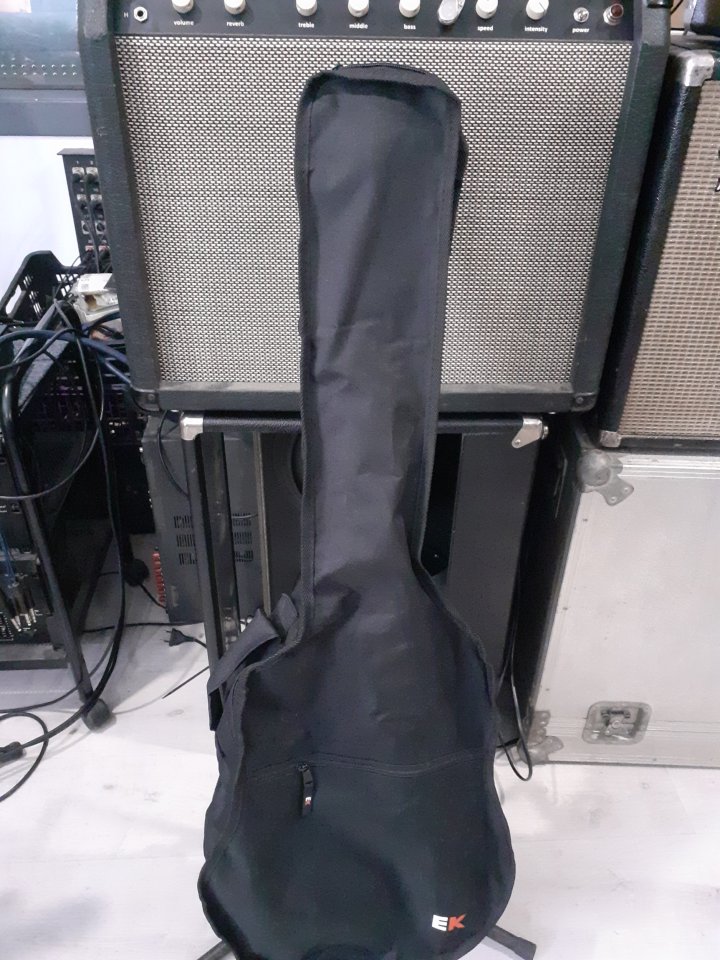 Vintage Telecaster Horugel