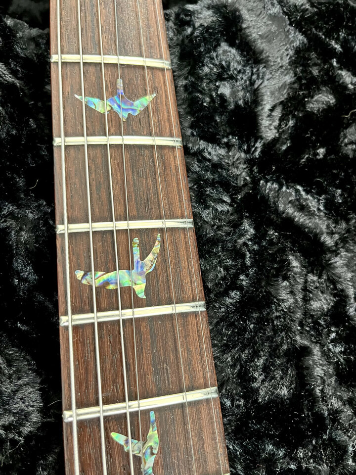 PRS Custom 24 Artist Package / RESERVADA