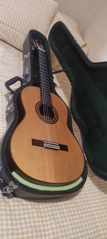 Guitarra luthier Manuel Contreras palosanto Rio de segunda mano · Foto 2 de 7 · Valladolid · 2500 €