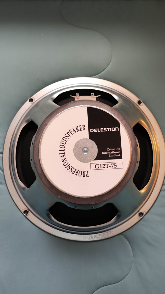 Celestion G12T-75 de segunda mano · Foto 1 de 3 · Granada · 60 €