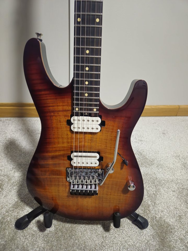 Harley Benton Fusion III HH FR muy mejorada