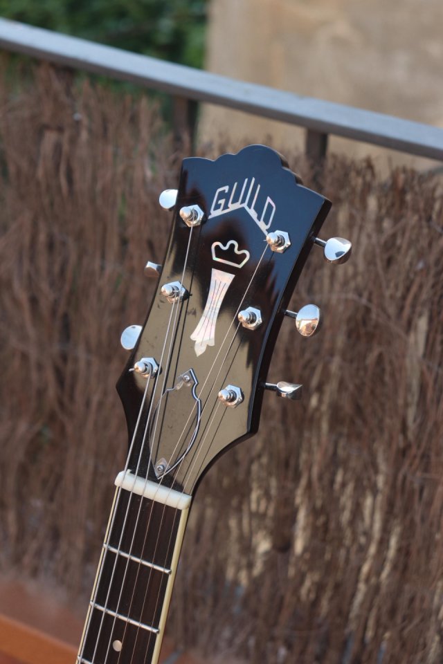 Guild T-50 Slim (coreana) - Perfecto estado de segunda mano · Foto 5 de 7 · Barcelona · 800 €