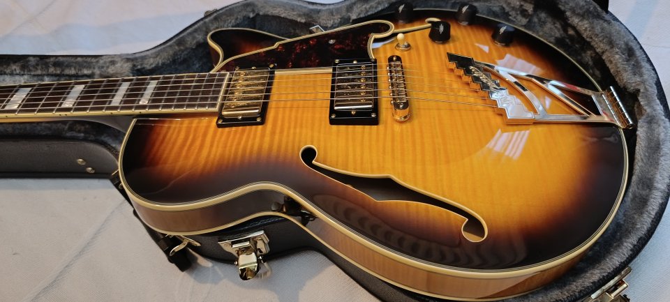 D'angelico excel ex ss