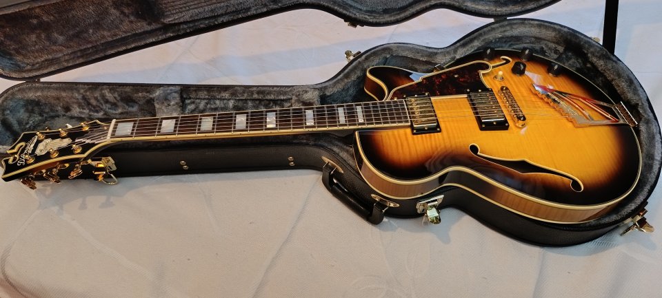 D'angelico excel ex ss