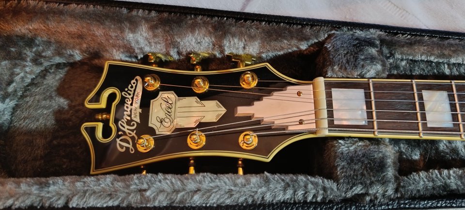 D'angelico excel ex ss