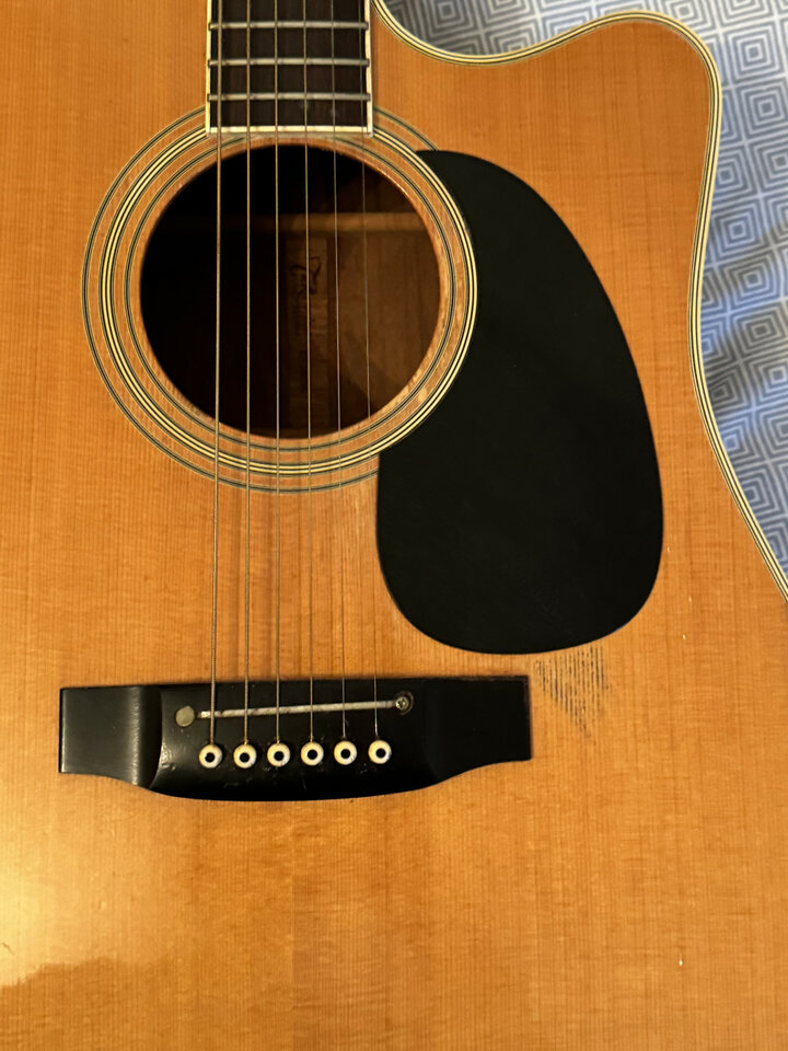 Takamine Jerry Garcia