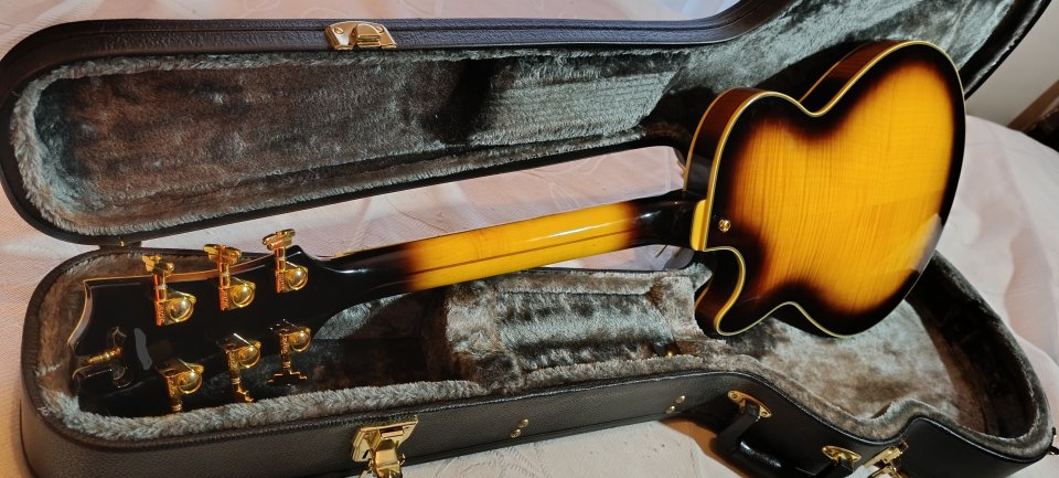 D'angelico excel ex ss