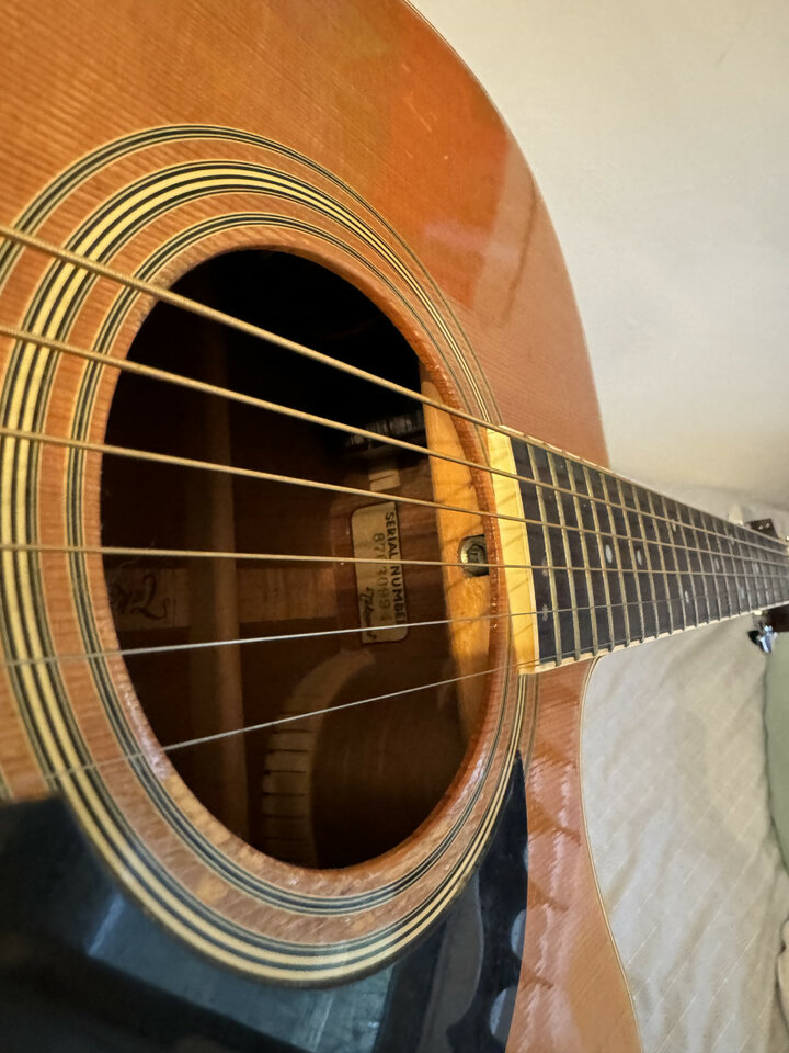 Takamine Jerry Garcia