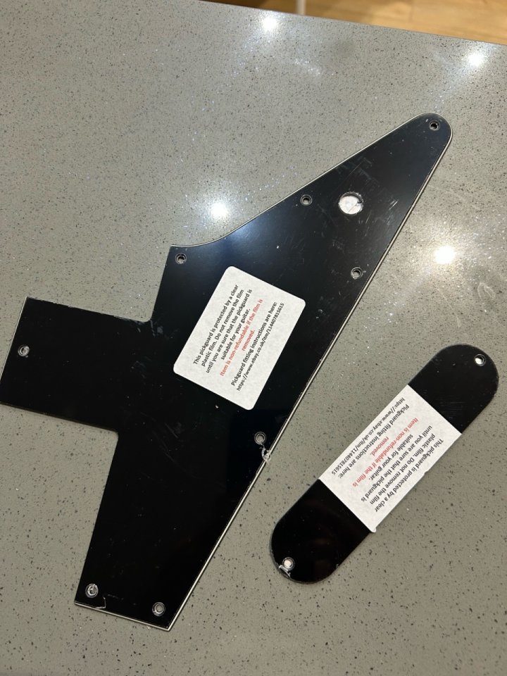 Golpeador negro para Epi Explorer Korina 1958 IGP de segunda mano · Foto 1 de 4 · Valencia · 40 €