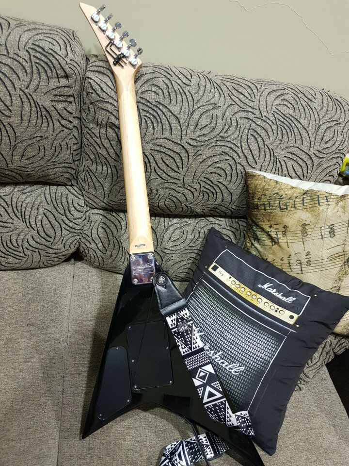 Guitarra electrica Jackson RX10D