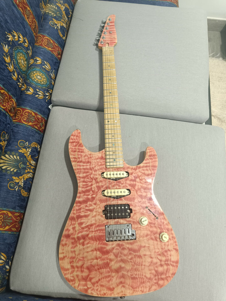 Guitarra de Luthier CAMBIO