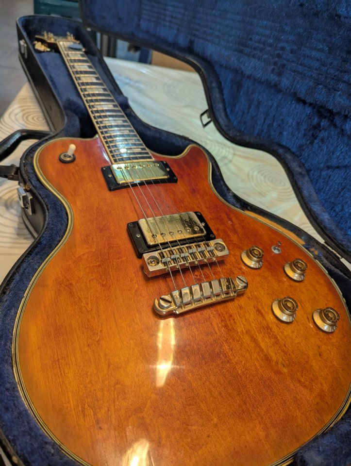 Ibanez PF400.(Cambio por SG)
