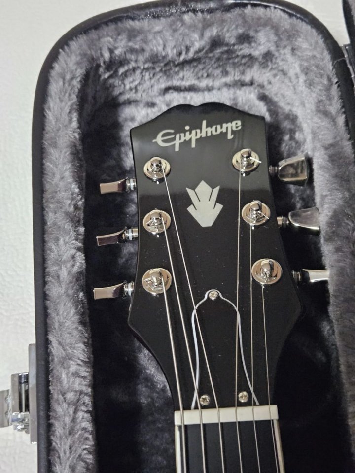 Epiphone GAMA ALTA