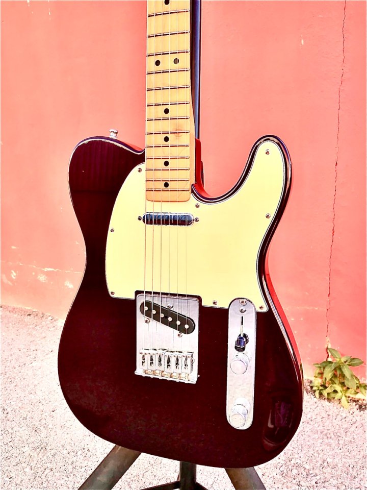 Cambio lote (Fender Amp & Guitar + Martin + Peavey USA) por ACÚSTICA DE GAMA ALTA