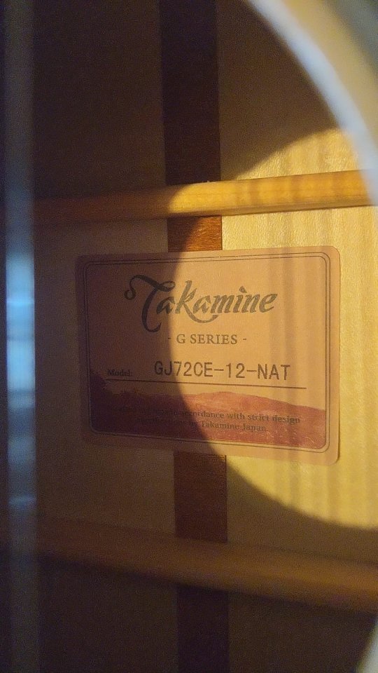 Guitarra Takamine GJ72CE -12