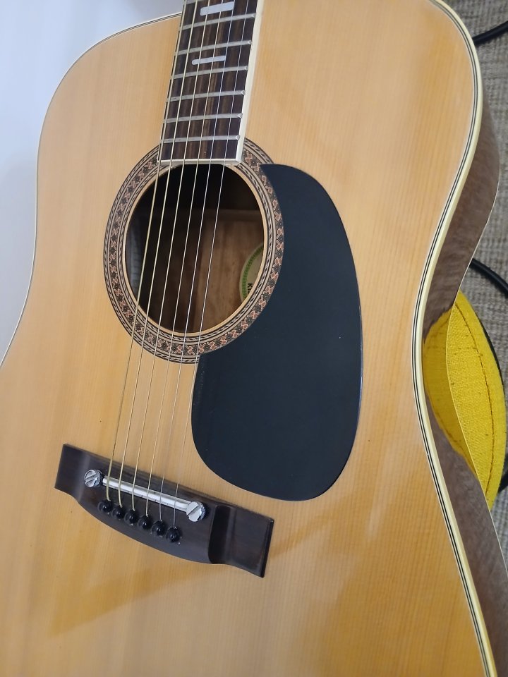 Cambio Acústica Suzuki W-E150