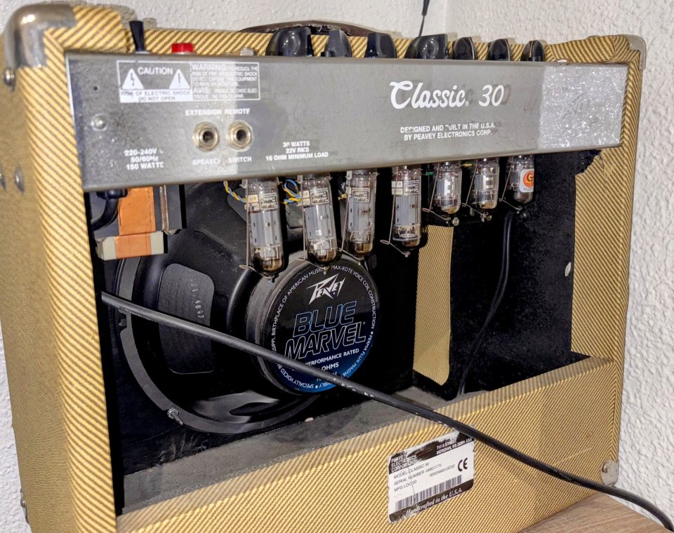 Cambio lote (Fender Amp & Guitar + Martin + Peavey USA) por ACÚSTICA DE GAMA ALTA