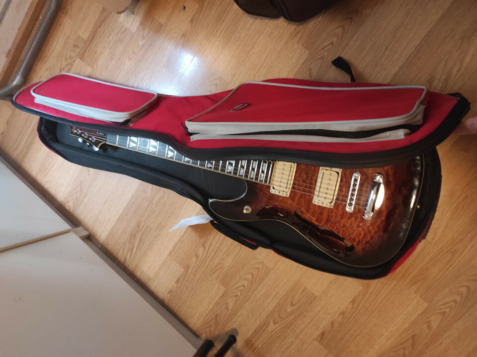 Schecter C1 E/A (coreana de 2006)