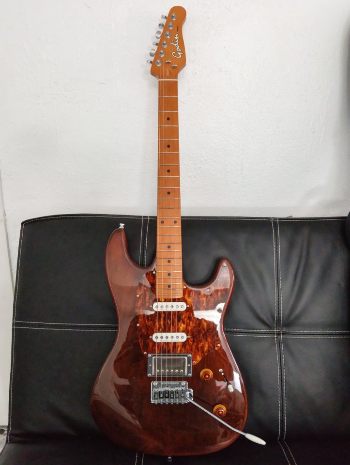 Godin Session T-Pro Ltd Kanyon Burst Mn