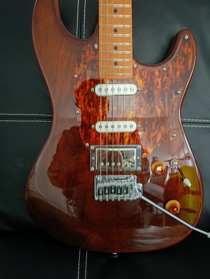 Godin Session T-Pro Ltd Kanyon Burst Mn