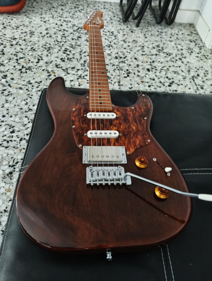 Godin Session T-Pro Ltd Kanyon Burst Mn