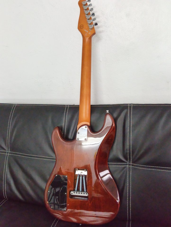 Godin Session T-Pro Ltd Kanyon Burst Mn