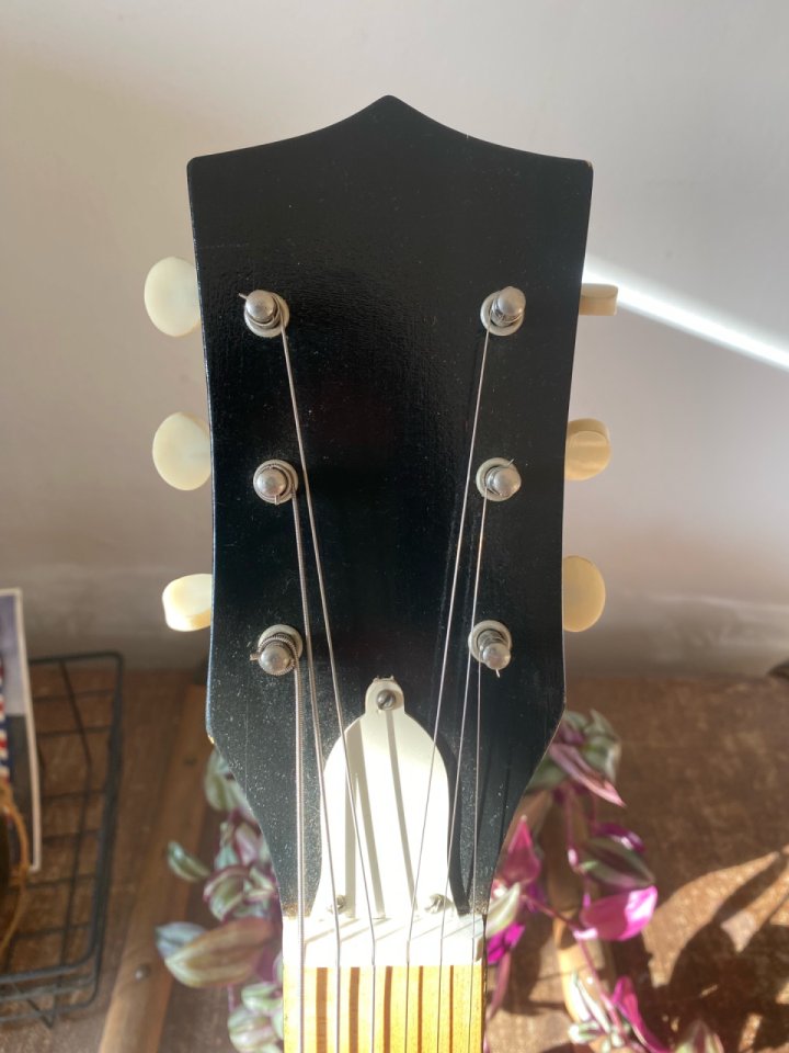 Kay Value Leader 1965