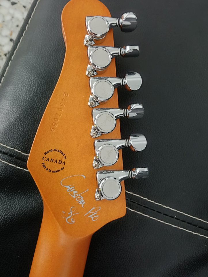 Godin Session T-Pro Ltd Kanyon Burst Mn