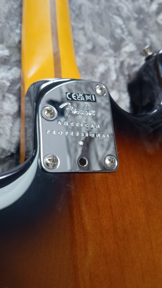 Fender American Professional II Stratocaster Anniversary 2TS RW de segunda mano · Foto 8 de 9 · Murcia · 1650 €