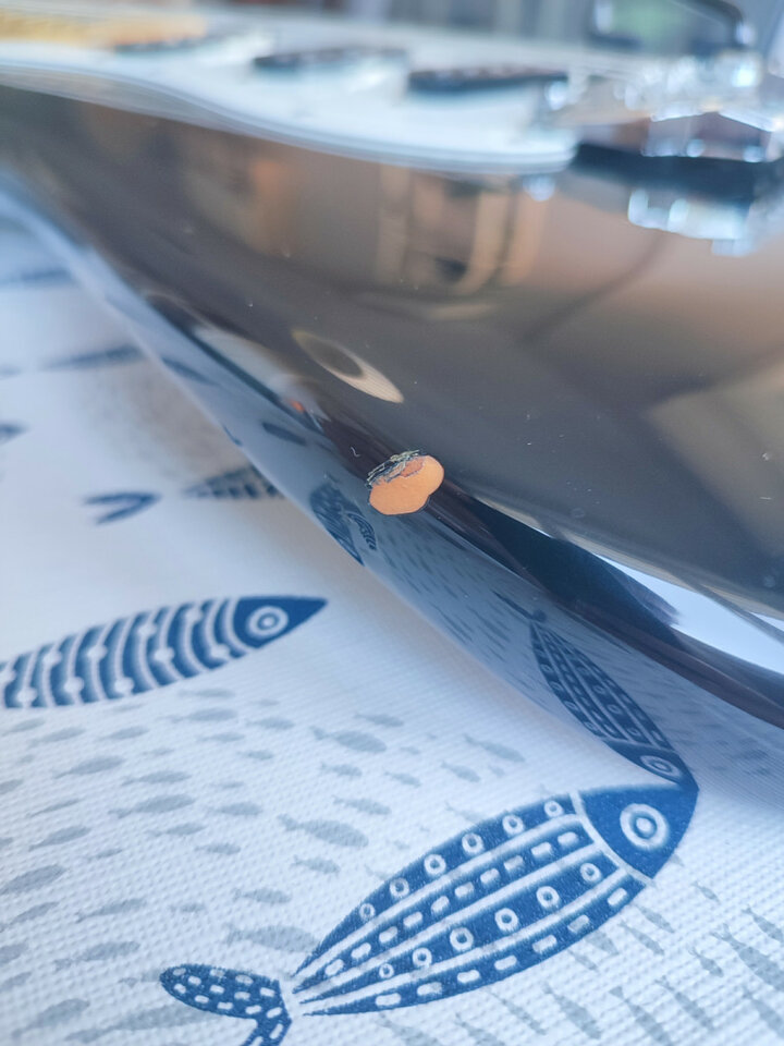 Fender Stratocaster MIJ (Made in Japan) 1985