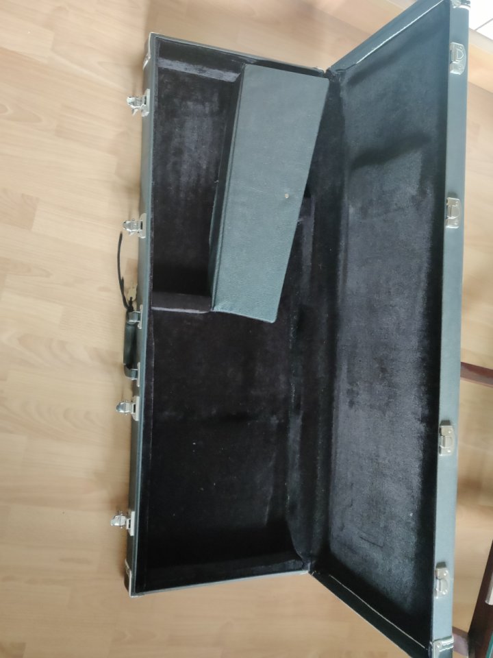 Funda para guitarra electrica (Guitar case).